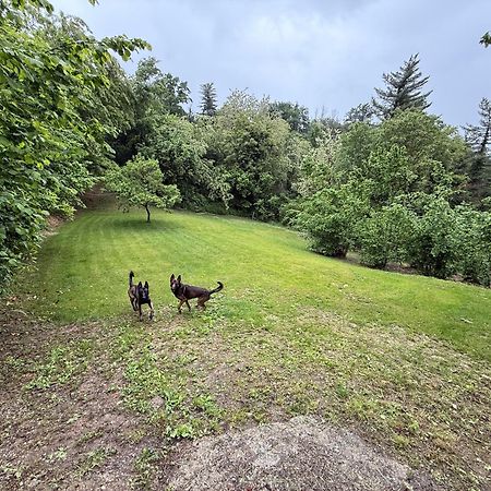 Bnb Dog And Friend Rocchetta Tanaro Exterior foto