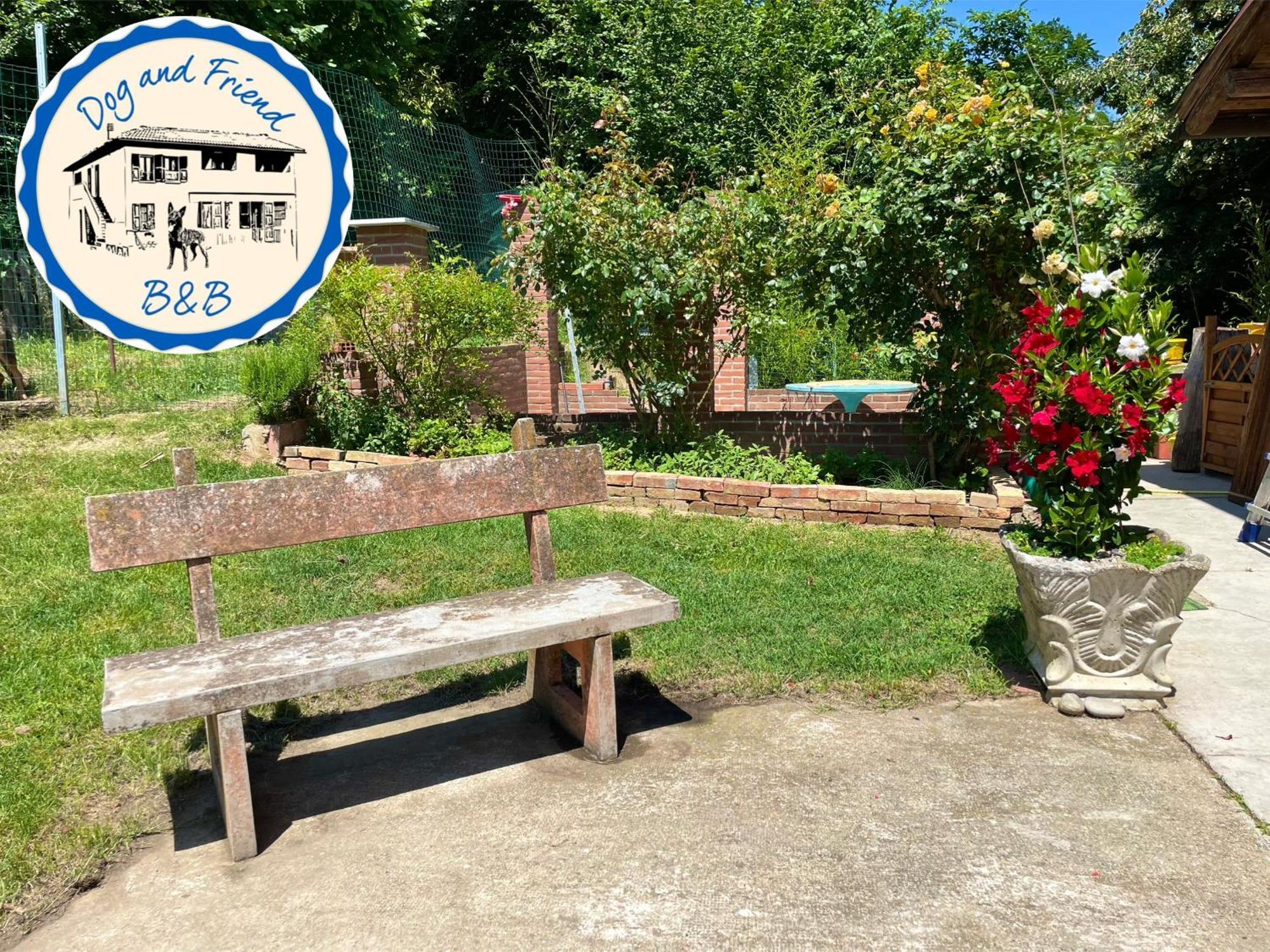 Bnb Dog And Friend Rocchetta Tanaro Exterior foto